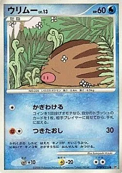 Swinub Lv.13