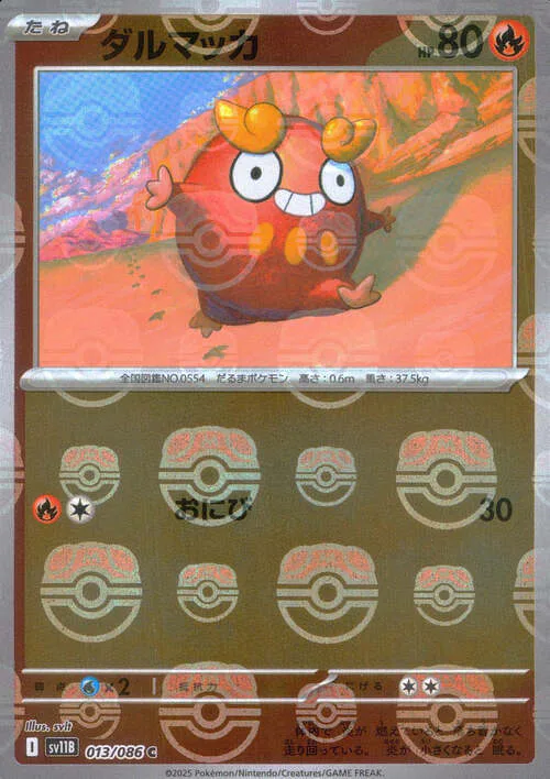 Darumaka