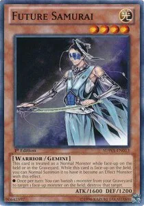 Future Samurai
