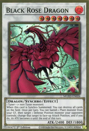Black Rose Dragon