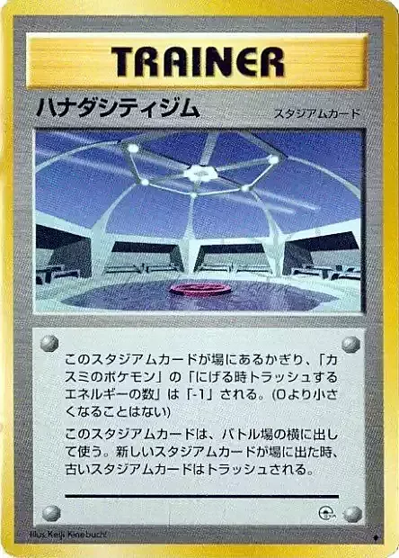 Cerulean City Gym