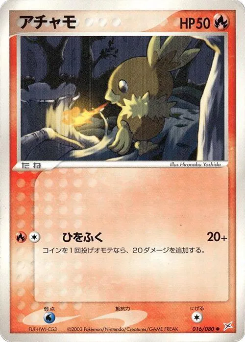 Torchic