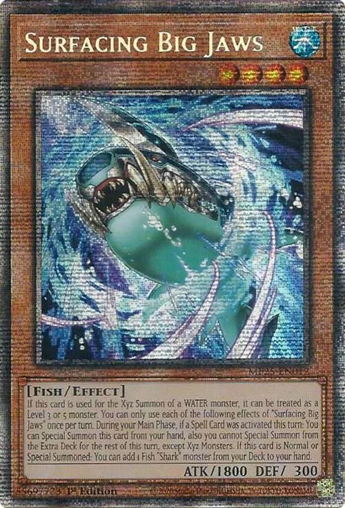 Surfacing Big Jaws