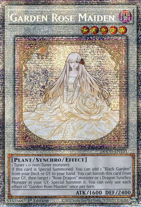 Garden Rose Maiden