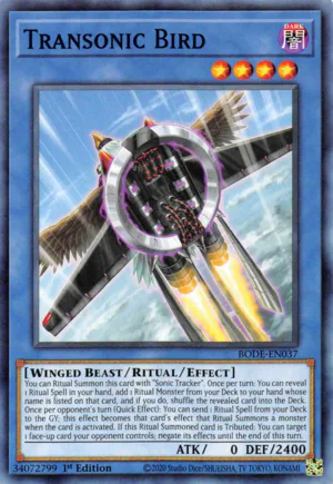 Transonic Bird