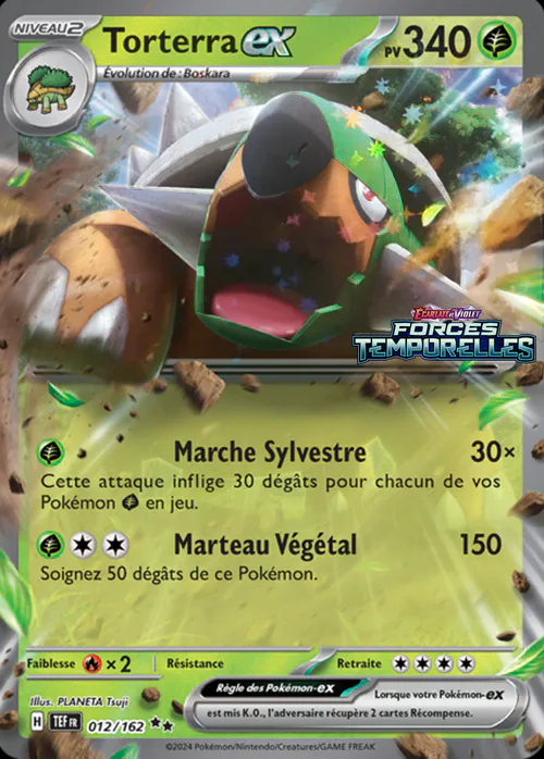 Torterra ex