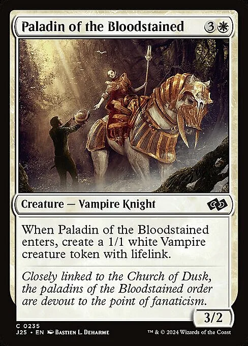 Paladin of the Bloodstained