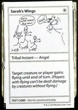 Sarah's Wings