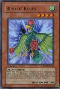 Bird of Roses