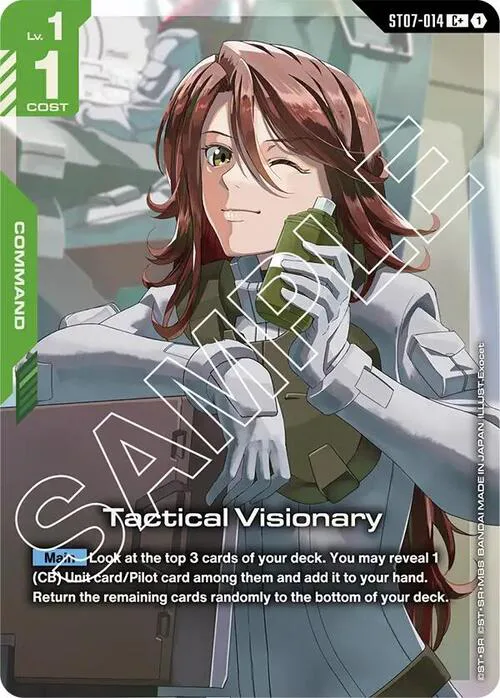 Tactical Visionary