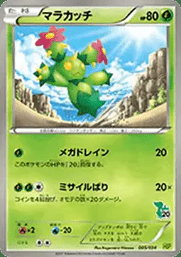 Maractus