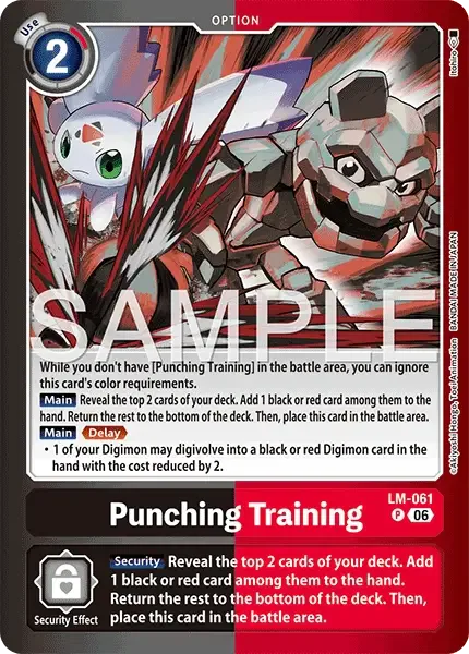 Punching Training