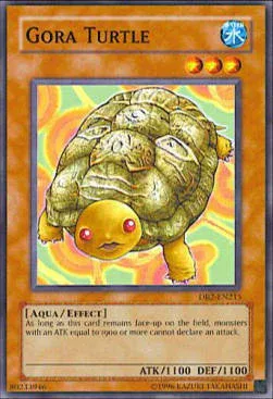 Gora Turtle