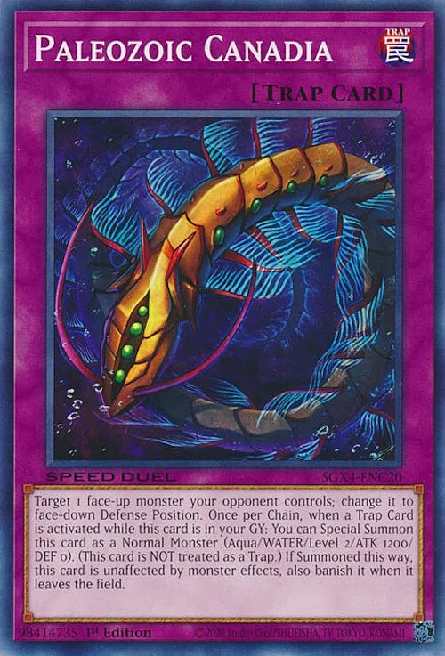 Paleozoic Canadia