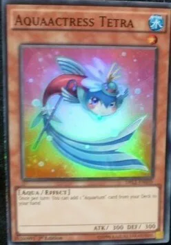 Aquaactress Tetra