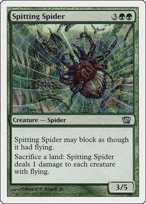 Spitting Spider