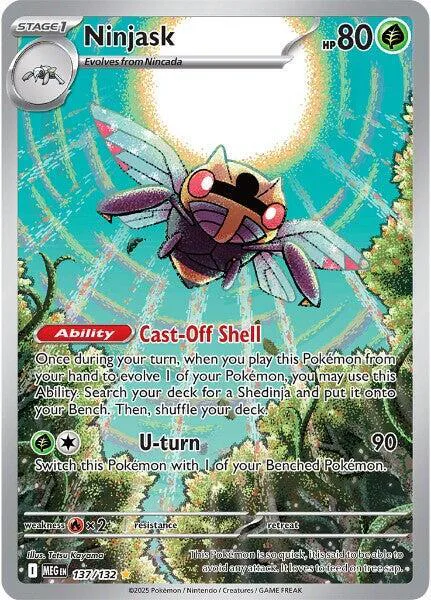 Ninjask