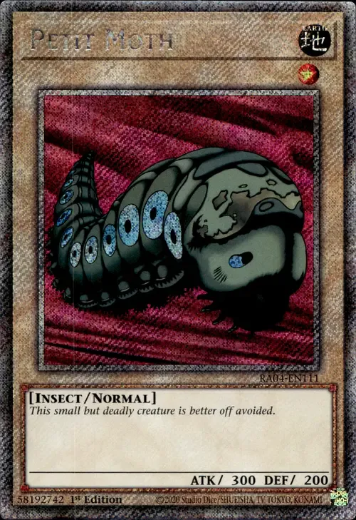 Petit Moth