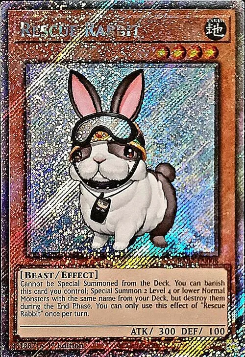Rescue Rabbit