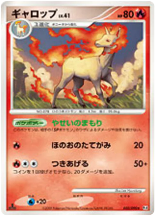 Rapidash Lv.41