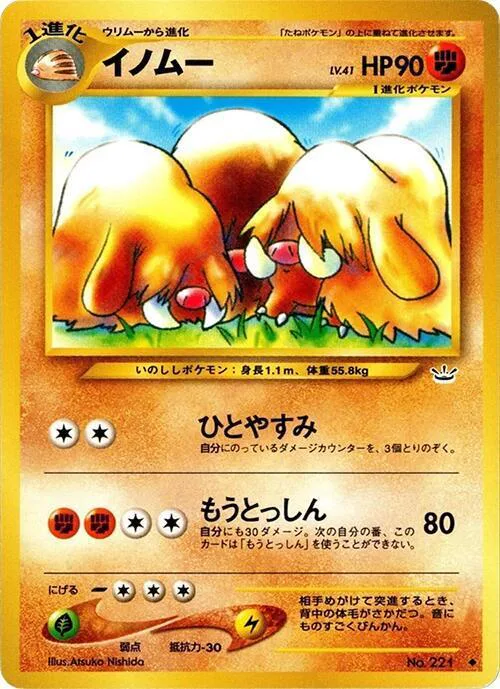 Piloswine Lv.41
