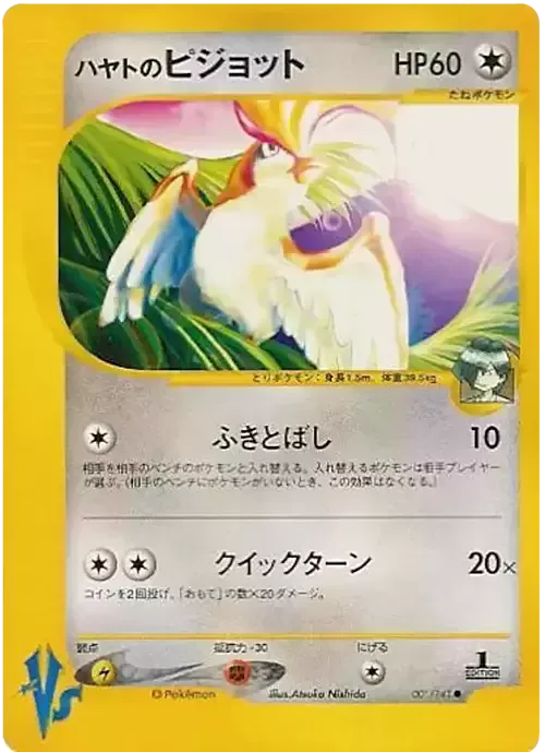 Falkner's Pidgeot