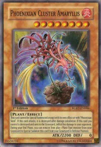 Phoenixian Cluster Amaryllis