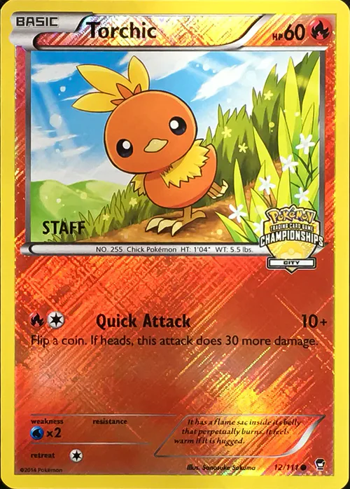 Torchic