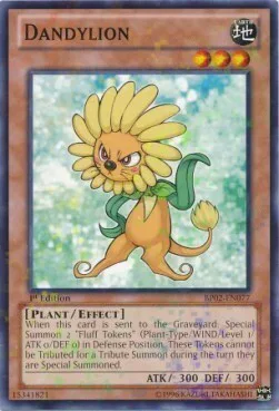 Dandylion