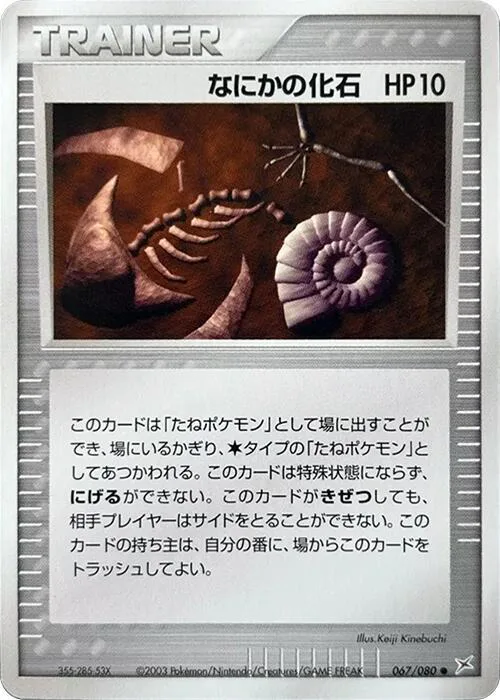 Mysterious Fossil