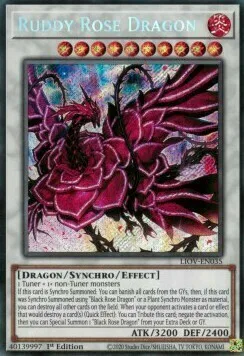 Ruddy Rose Dragon