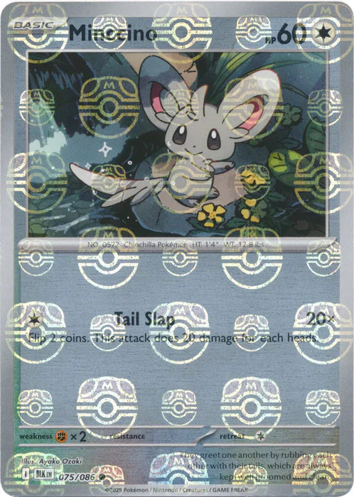 Minccino