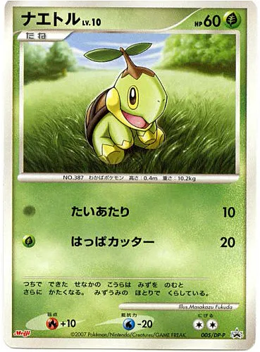Turtwig Lv.10