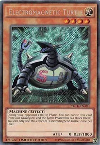 Electromagnetic Turtle