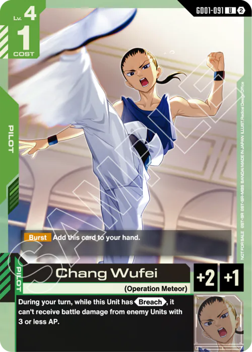 Chang Wufei