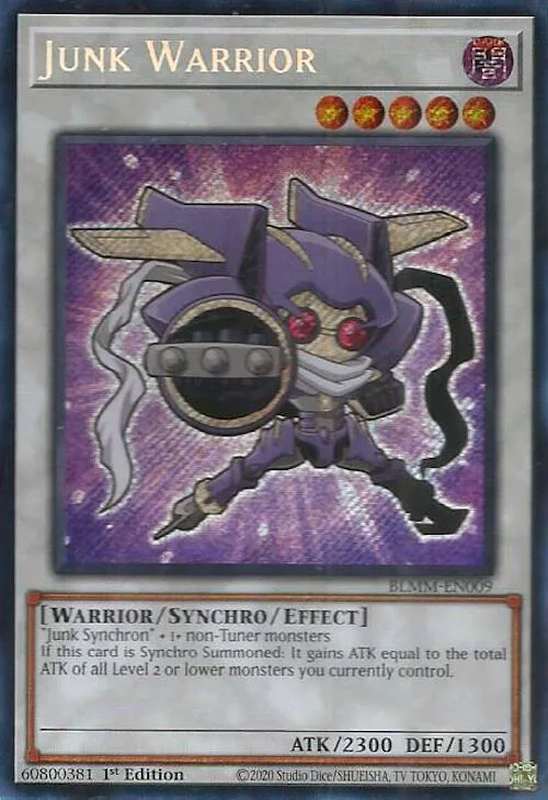 Junk Warrior