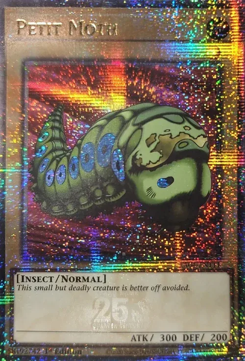 Petit Moth