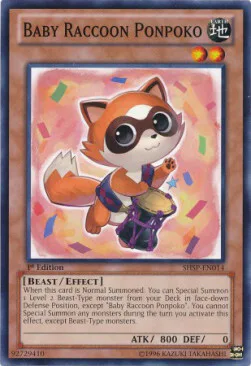 Baby Raccoon Ponpoko