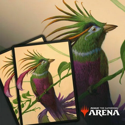 Arena Code