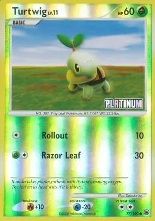 Turtwig Lv.11