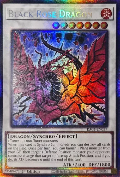 Black Rose Dragon