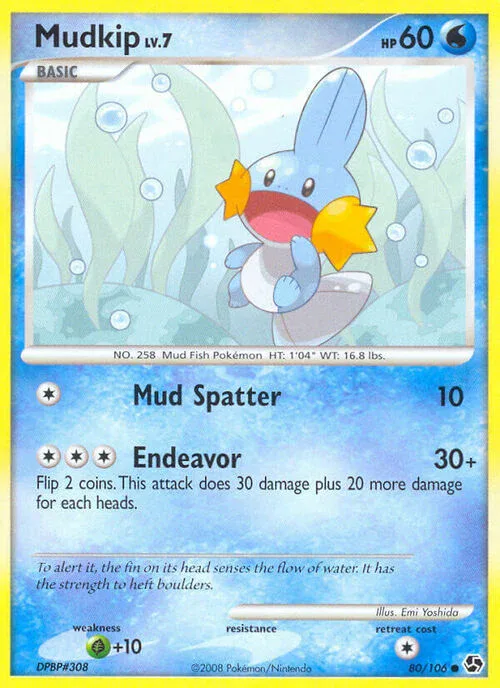 Mudkip Lv.7