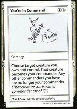 You're In Command