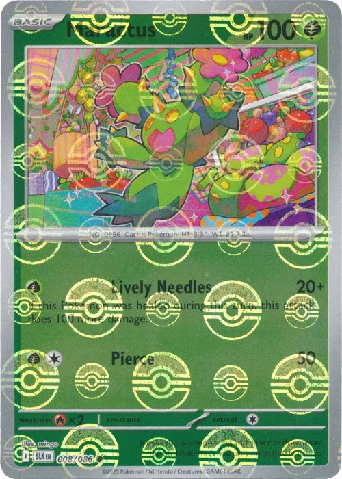Maractus