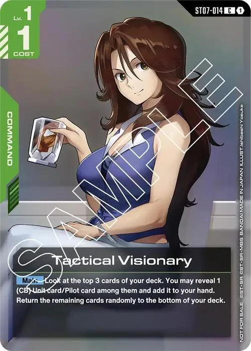 Tactical Visionary