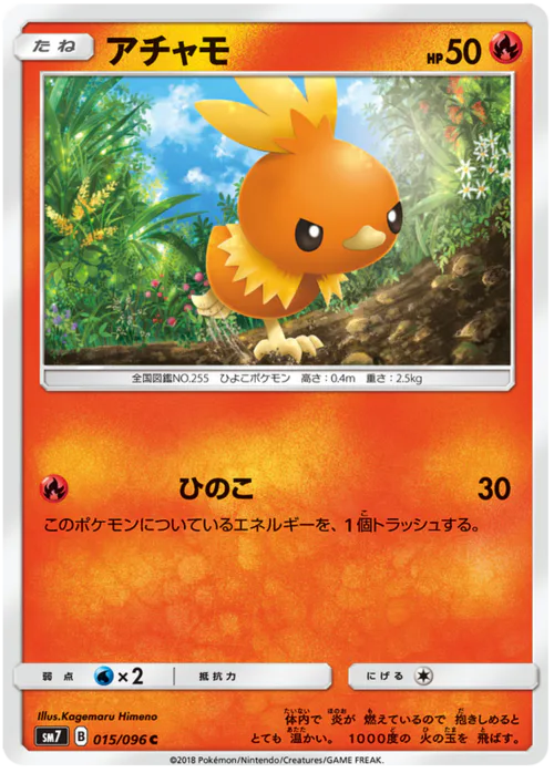 Torchic