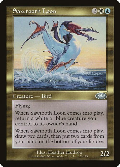 Sawtooth Loon