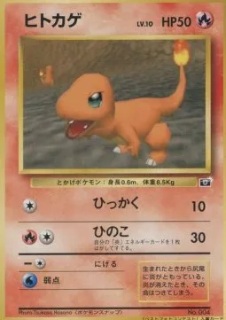 Charmander Lv.10