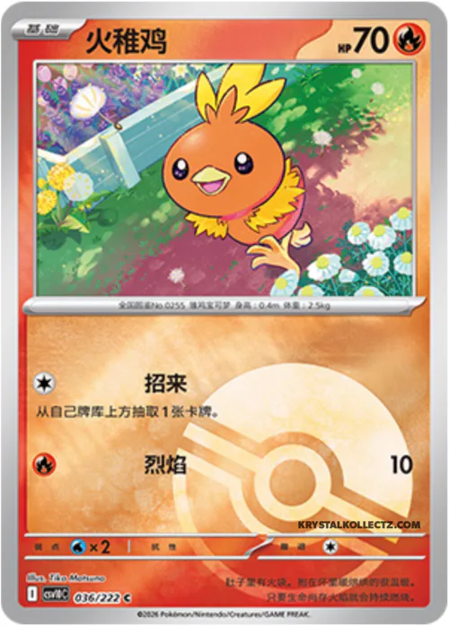 Torchic