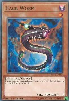 Hack Worm